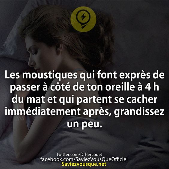Les moustiques qui font exprès de passer à côté de ton oreille à 4 h du mat et qui partent se cacher immédiatement après, grandissez un peu.
