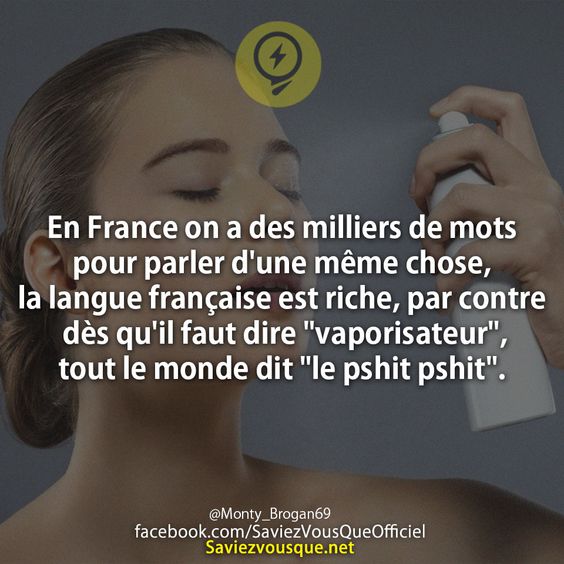 En France on a des milliers de mots pour parler d'une même chose, la langue française est riche, par contre dès qu'il faut dire "vaporisateur", tout le monde dit "le pshit pshit".