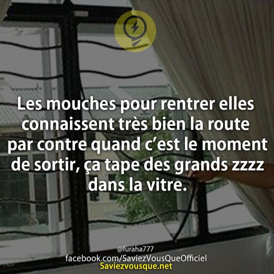Les mouches pour rentrer elles connaissent très bien la route par contre quand c’est le moment de sortir, ça tape des grands zzzz dans la vitre.
