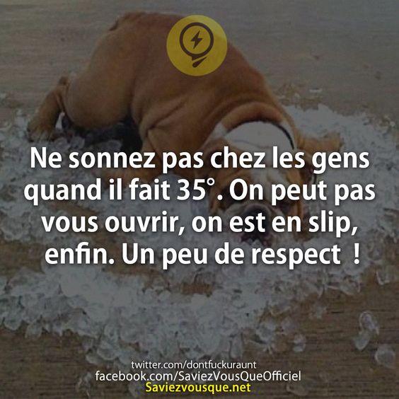 Ne sonnez pas chez les gens quand il fait 35°. On peut pas vous ouvrir, on est en slip, enfin. Un peu de respect  !