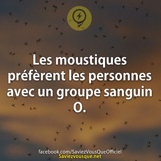 Les moustiques préfèrent les personnes avec un groupe sanguin O.