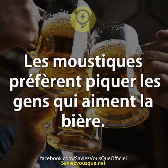 Les moustiques préfèrent piquer les gens qui aiment la bière.