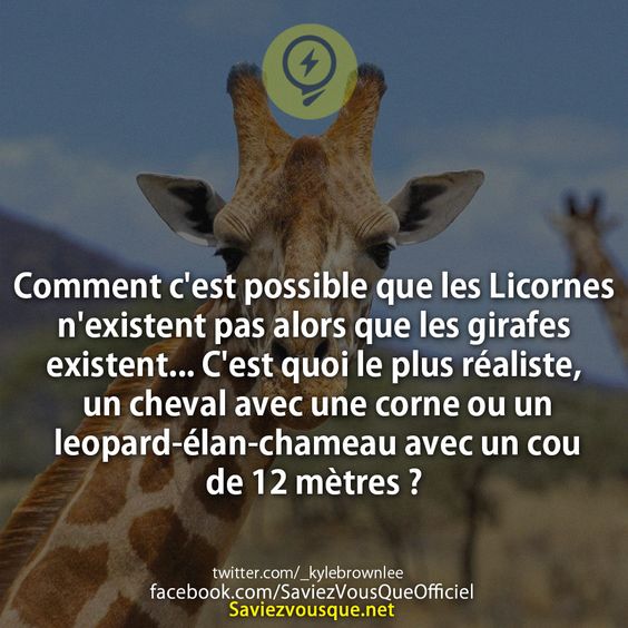 Comment c&#039;est possible que les Licornes n&#039;existent pas alors que les girafes existent... C&#039;est quoi le plus réaliste, un cheval avec une corne ou un leopard-élan-chameau avec un cou de 12 mètres ?