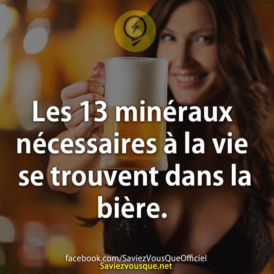 Les 13 minéraux nécessaires à la vie se trouvent dans la bière.