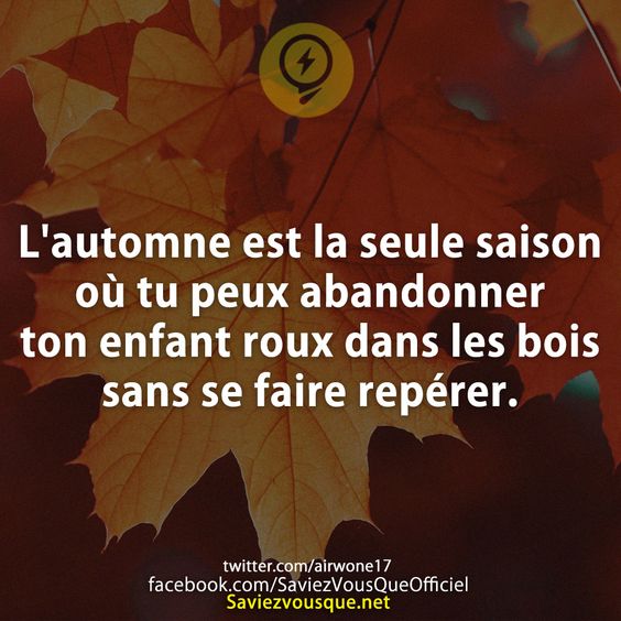 L&#039;automne est la seule saison où tu peux abandonner ton enfant roux dans les bois sans se faire repérer.