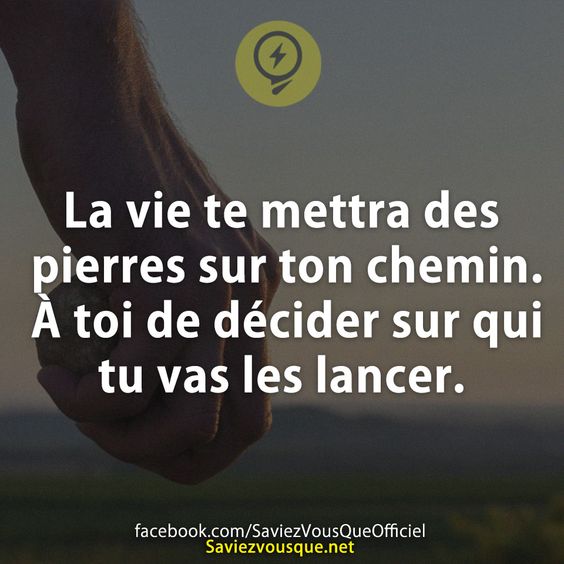 La vie te mettra des pierres sur ton chemin. À toi de décider sur qui tu vas les lancer.