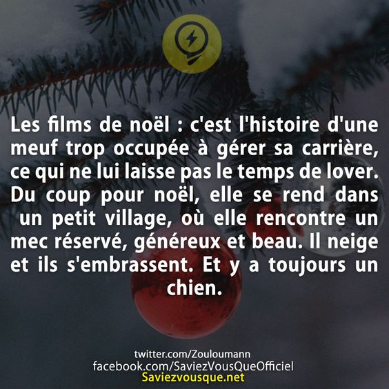 Les films de noël : c&#039;est l&#039;histoire d&#039;une meuf trop occupée à gérer sa carrière, ce qui ne lui laisse pas le temps de lover. Du coup pour noël, elle se rend dans un petit village, où elle rencontre un mec réservé, généreux et beau. Il neige et ils s&#039;embrassent. Et y a toujours un chien.