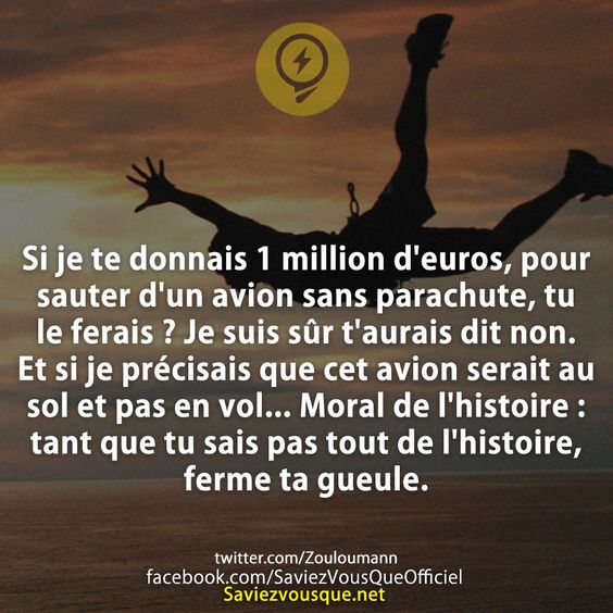 Si je te donnais 1 million d&#039;euros, pour sauter d&#039;un avion sans parachute, tu le ferais ? Je suis sûr t&#039;aurais dit non. Et si je précisais que cet avion serait au sol et pas en vol... Moral de l&#039;histoire : tant que tu sais pas tout de l&#039;histoire, ferme ta gueule.