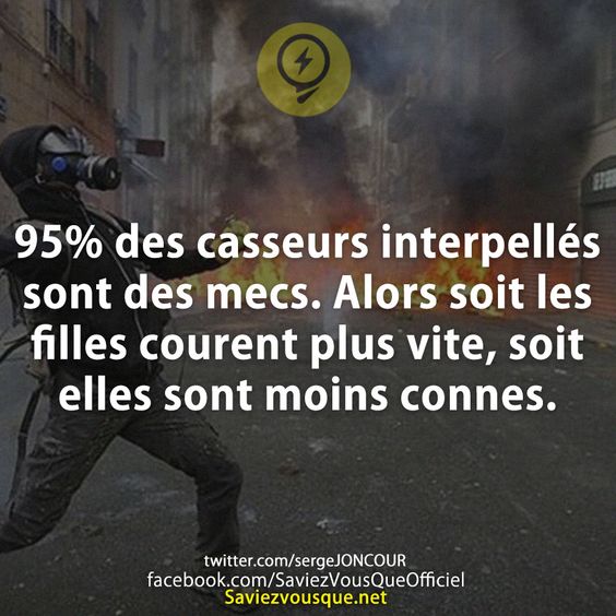 95% des casseurs interpellés sont des mecs. Alors soit les filles courent plus vite, soit elles sont moins connes.