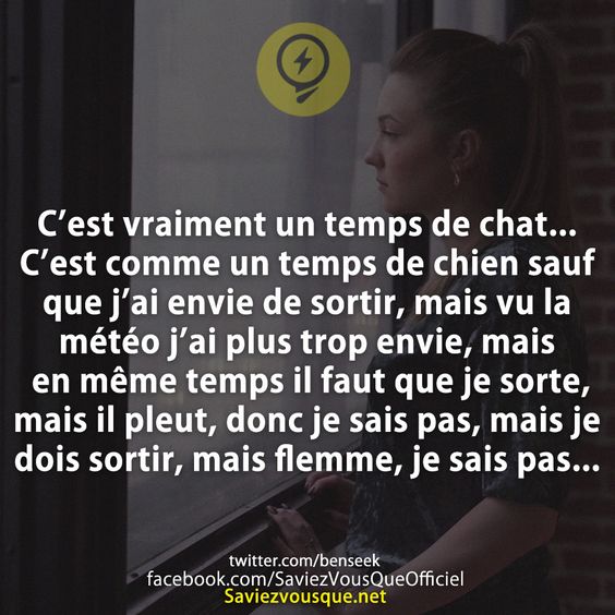 C’est vraiment un temps de chat... C’est comme un temps de chien sauf que j’ai envie de sortir, mais vu la météo j’ai plus trop envie, mais en même temps il faut que je sorte, mais il pleut, donc je sais pas, mais je dois sortir, mais flemme, je sais pas...