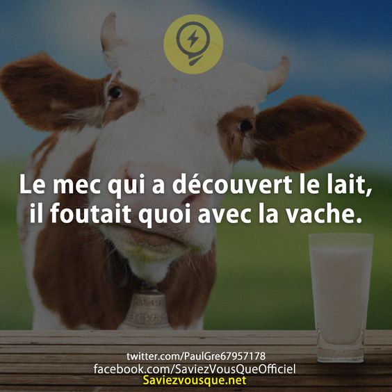 Le mec qui a découvert le lait, il foutait quoi avec la vache.