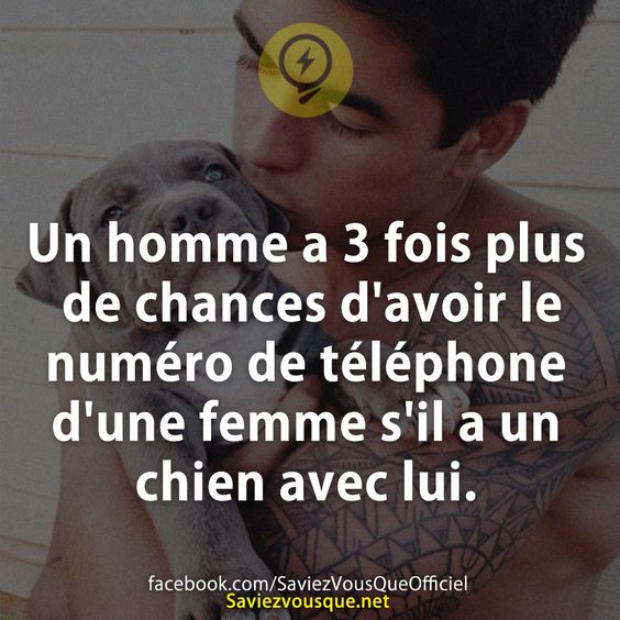 Un homme a 3 fois plus de chances d&#039;avoir le numéro de téléphone d&#039;une femme s&#039;il a un chien avec lui.