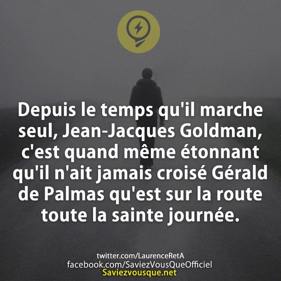 Depuis le temps qu&#039;il marche seul, Jean-Jacques Goldman, c&#039;est quand même étonnant qu&#039;il n&#039;ait jamais croisé Gérald de Palmas qu&#039;est sur la route toute la sainte journée.