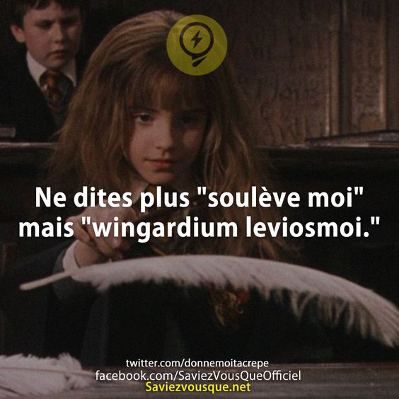 Ne dites plus &quot;soulève moi&quot; mais &quot;wingardium leviosmoi.&quot;