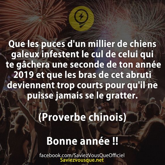 Que les puces d'un millier de chiens galeux infestent le cul de celui qui te gâchera une seconde de ton année 2019 et que les bras de cet abruti deviennent trop courts pour qu'il ne puisse jamais se le gratter.  (Proverbe chinois) Bonne année !!
