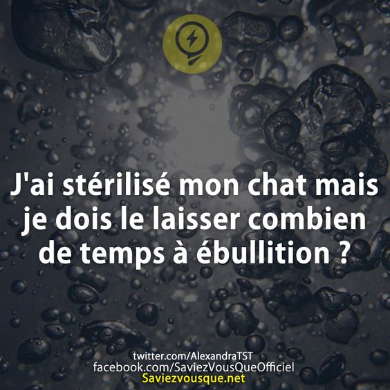 J'ai stérilisé mon chat mais je dois le laisser combien de temps à ébullition ?