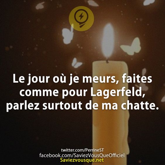 Le jour où je meurs, faites comme pour Lagerfeld, parlez surtout de ma chatte.