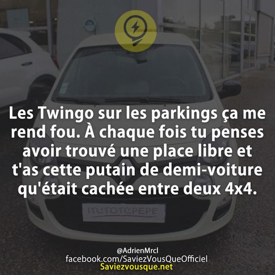 Les Twingo sur les parkings ça me rend fou. À chaque fois tu penses avoir trouvé une place libre et t'as cette putain de demi-voiture qu'était cachée entre deux 4x4.