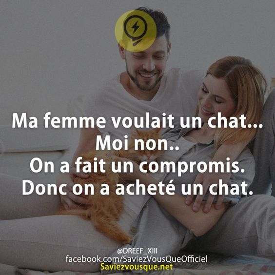 Ma femme voulait un chat... Moi non.. On a fait un compromis. Donc on a acheté un chat.