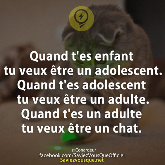 Quand t&#039;es enfant tu veux être un adolescent. Quand t&#039;es adolescent tu veux être un adulte. Quand t&#039;es un adulte tu veux être un chat.