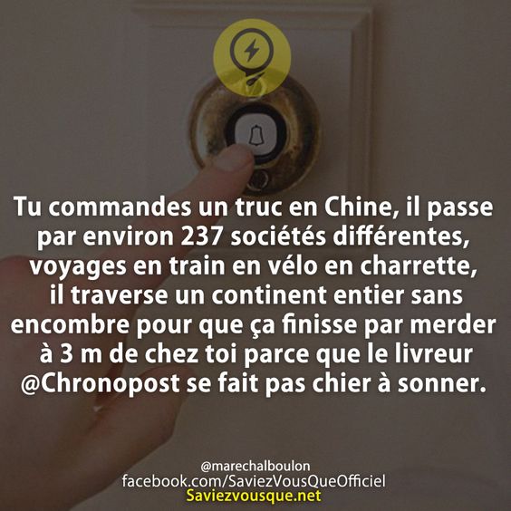 Tu commandes un truc en Chine, il passe par environ 237 sociétés différentes, voyages en train en vélo en charrette, il traverse un continent entier sans encombre pour que ça finisse par merder à 3 m de chez toi parce que le livreur @Chronopost se fait pas chier à sonner.