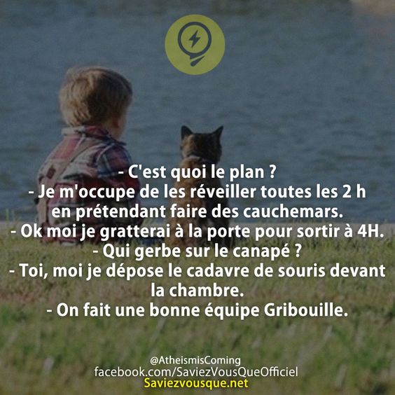 - C&#039;est quoi le plan ? - Je m&#039;occupe de les réveiller toutes les 2 h en prétendant faire des cauchemars. - Ok moi je gratterai à la porte pour sortir à 4H. - Qui gerbe sur le canapé ? - Toi, moi je dépose le cadavre de souris devant la chambre. - On fait une bonne équipe Gribouille.