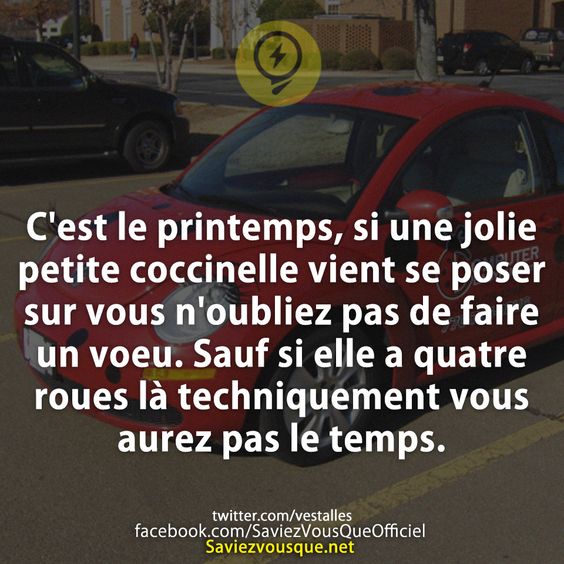 C&#039;est le printemps, si une jolie petite coccinelle vient se poser sur vous n&#039;oubliez pas de faire un voeu. Sauf si elle a quatre roues là techniquement vous aurez pas le temps.