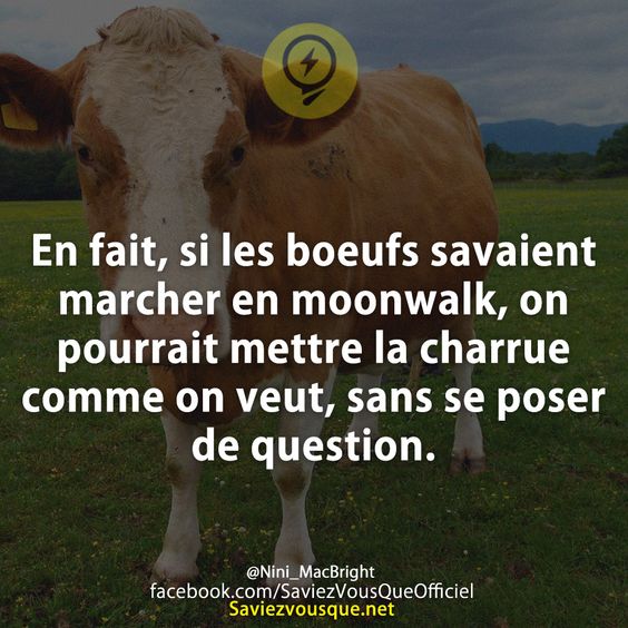 En fait, si les boeufs savaient marcher en moonwalk, on pourrait mettre la charrue comme on veut, sans se poser de question.
