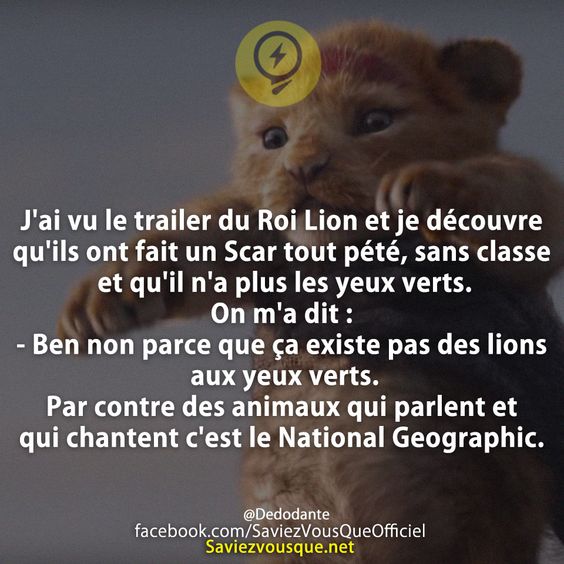 J&#039;ai vu le trailer du Roi Lion et je découvre qu&#039;ils ont fait un Scar tout pété, sans classe et qu&#039;il n&#039;a plus les yeux verts.  On m&#039;a dit :  - Ben non parce que ça existe pas des lions aux yeux verts. Par contre des animaux qui parlent et qui chantent c&#039;est le National Geographic.