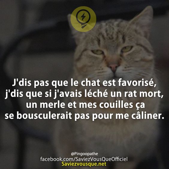 J&#039;dis pas que le chat est favorisé, j&#039;dis que si j&#039;avais léché un rat mort, un merle et mes couilles ça se bousculerait pas pour me câliner.