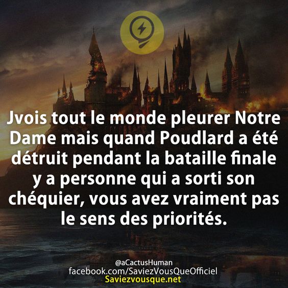 Jvois tout le monde pleurer Notre Dame mais quand Poudlard a été détruit pendant la bataille finale y a personne qui a sorti son chéquier, vous avez vraiment pas le sens des priorités.