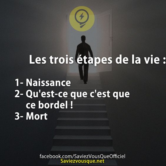 Les trois étapes de la vie :  1- Naissance 2- Qu&#039;est-ce que c&#039;est que ce bordel !  3- Mort