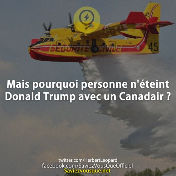 Mais pourquoi personne n&#039;éteint Donald Trump avec un Canadair ?