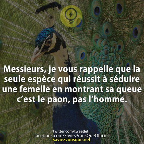 Messieurs, je vous rappelle que la seule espèce qui réussit à séduire une femelle en montrant sa queue c’est le paon, pas l’homme.