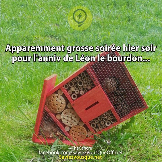 Apparemment grosse soirée hier soir pour l&#039;anniv de Léon le bourdon...