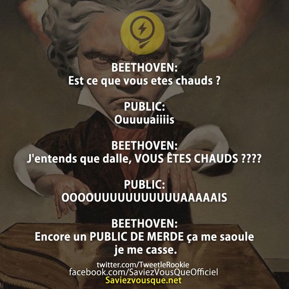 BEETHOVEN: est ce que vous etes chauds ?  PUBLIC:  ouuuuaiiiis  BEETHOVEN:  j&#039;entends que dalle, VOUS ÊTES CHAUDS ????  PUBLIC: OOOOUUUUUUUUUUUAAAAAIS  BEETHOVEN: encore un PUBLIC DE MERDE ça me saoule je me casse