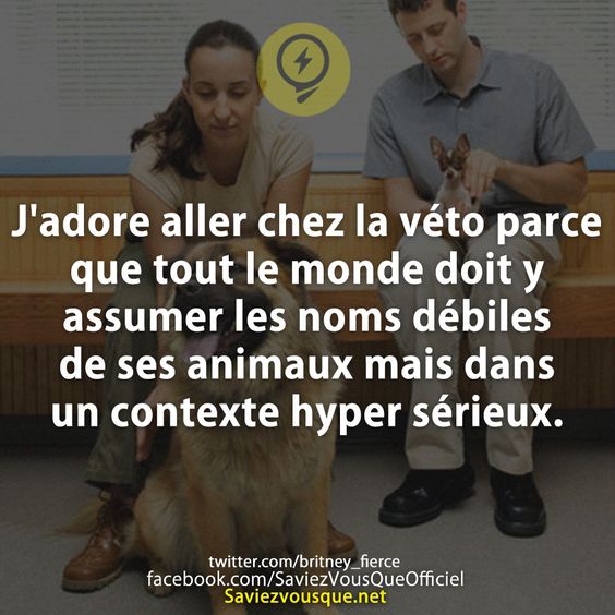 J&#039;adore aller chez la véto parce que tout le monde doit y assumer les noms débiles de ses animaux mais dans un contexte hyper sérieux.