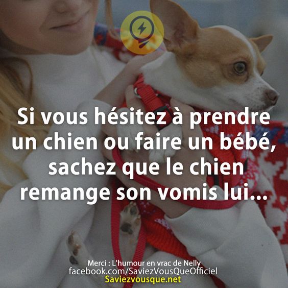 Si vous hésitez à prendre un chien ou faire un bébé, sachez que le chien remange son vomis lui...