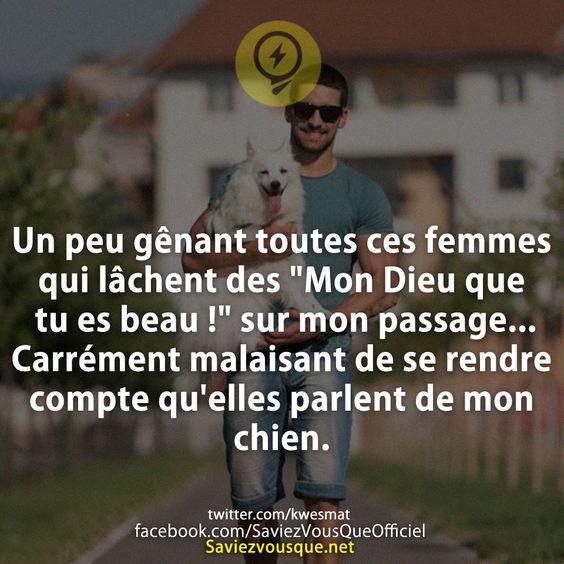 Un peu gênant toutes ces femmes qui lâchent des &quot;Mon Dieu que tu es beau !&quot; sur mon passage. ... Carrément malaisant de se rendre compte qu&#039;elles parlent de mon chien.