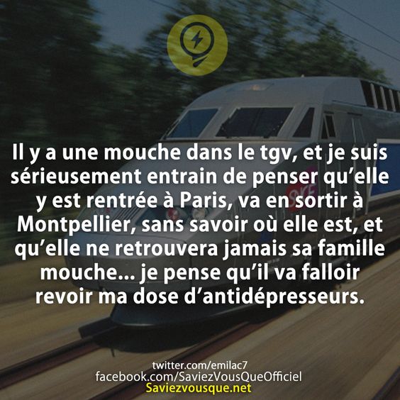 Il y a une mouche dans le tgv, et je suis sérieusement entrain de penser qu’elle y est rentrée à Paris, va en sortir à Montpellier, sans savoir où elle est, et qu’elle ne retrouvera jamais sa famille mouche... je pense qu’il va falloir revoir ma dose d’antidépresseurs.