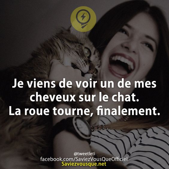Je viens de voir un de mes cheveux sur le chat. La roue tourne, finalement.
