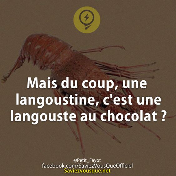 Mais du coup, une langoustine, c&#039;est une langouste au chocolat ?