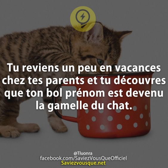 Tu reviens un peu en vacances chez tes parents et tu découvres que ton bol prénom est devenu la gamelle du chat.