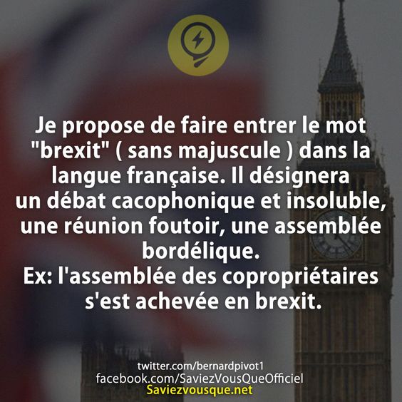 Je propose de faire entrer le mot &quot;brexit&quot; ( sans majuscule ) dans la langue française. Il désignera un débat cacophonique et insoluble, une réunion foutoir, une assemblée bordélique. Ex: l&#039;assemblée des copropriétaires s&#039;est achevée en brexit.