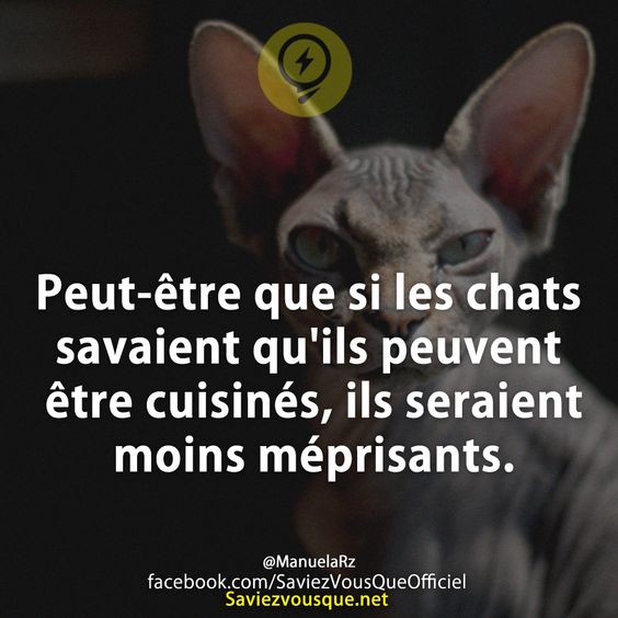 Peut-être que si les chats savaient qu&#039;ils peuvent être cuisinés, ils seraient moins méprisants.