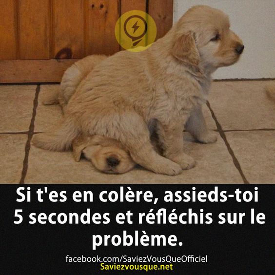 Si t&#039;es en colère, assieds-toi 5 secondes et réfléchis sur le problème.