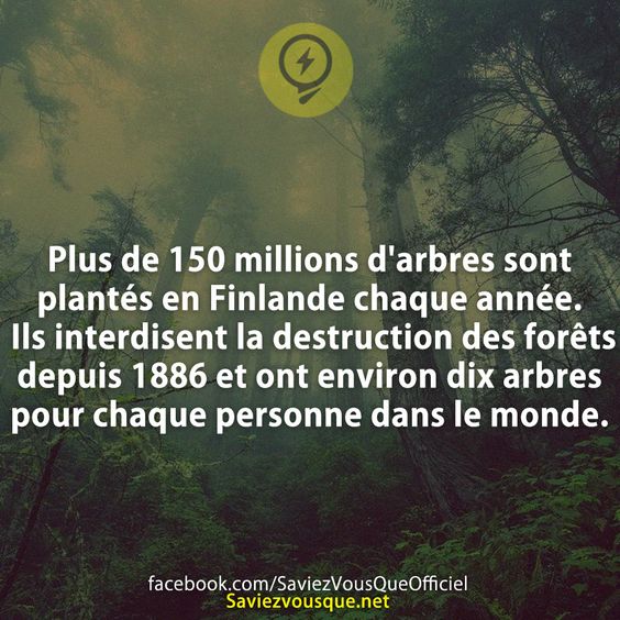 Plus de 150 millions d&#039;arbres sont plantés en Finlande chaque année. Ils interdisent la destruction des forêts depuis 1886 et ont environ dix arbres pour chaque personne dans le monde.