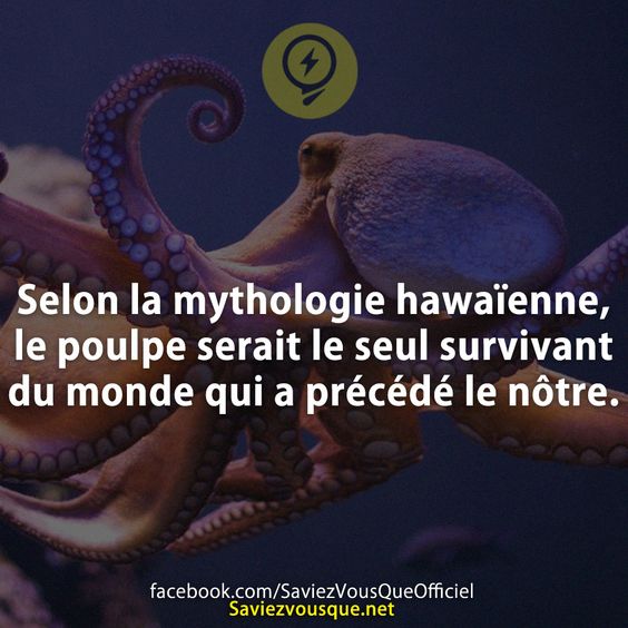 Selon la mythologie hawaïenne, le poulpe serait le seul survivant du monde qui a précédé le nôtre.