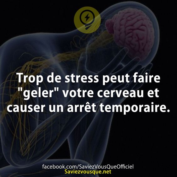 Trop de stress peut faire &quot;geler&quot; votre cerveau et causer un arrêt temporaire.