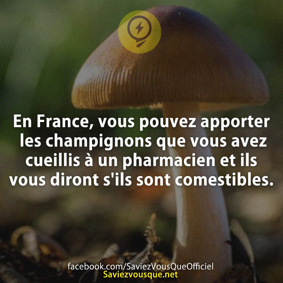 En France, vous pouvez apporter les champignons que vous avez cueillis à un pharmacien et ils vous diront s&#039;ils sont comestibles.